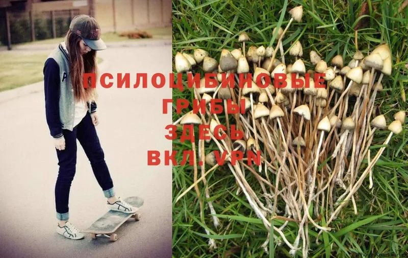 Галлюциногенные грибы Magic Shrooms  Ленск 